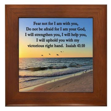 Fear Not for I am with You. Bible verse Isaiah 41:10 printed on a beach photo with waves and flying birds during sunset