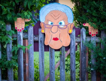 photograph of a grey fence under some bushd with a cartoon grandma wearing glasses superimposed over top to make it look like she is peering over the fence