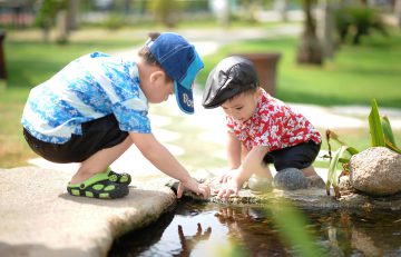 two asian toddler boys wearing caps and shorts reaching into a shallow creek trying to catch some fish