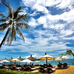 palm trees overlooking ten umbrellas and lounge chairs on the beach with clouds in the sky