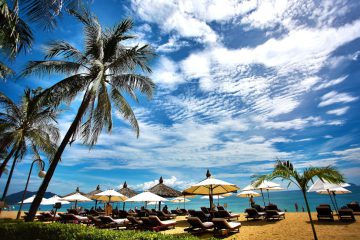 palm trees overlooking ten umbrellas and lounge chairs on the beach with clouds in the sky