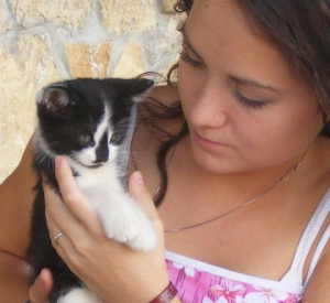 Kitten