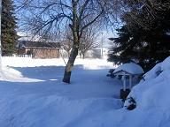 backyard with a tree and wishing well covered in snow